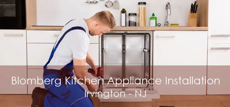 Blomberg Kitchen Appliance Installation Irvington - NJ