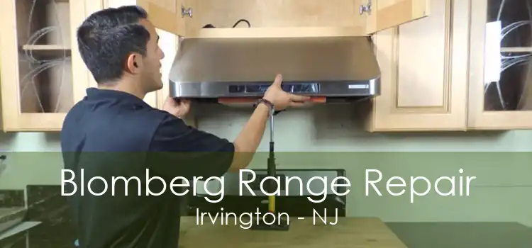 Blomberg Range Repair Irvington - NJ