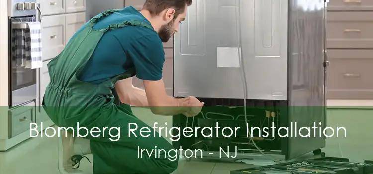 Blomberg Refrigerator Installation Irvington - NJ