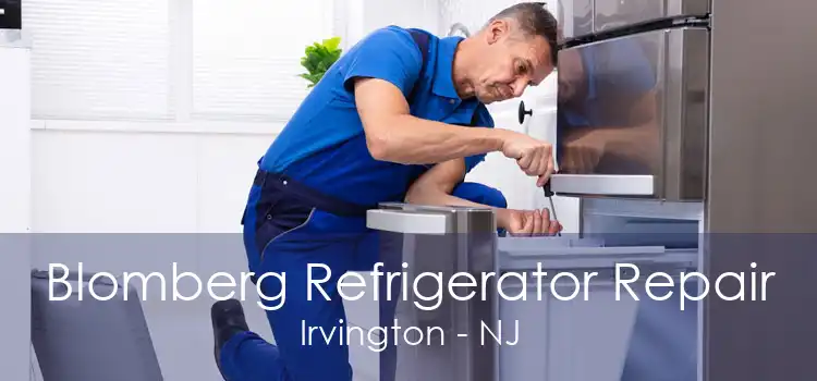 Blomberg Refrigerator Repair Irvington - NJ