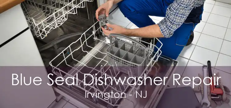 Blue Seal Dishwasher Repair Irvington - NJ