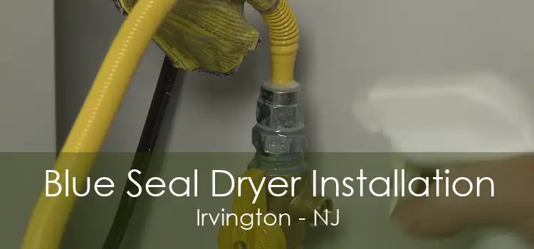 Blue Seal Dryer Installation Irvington - NJ