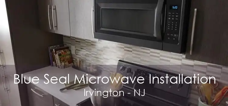 Blue Seal Microwave Installation Irvington - NJ