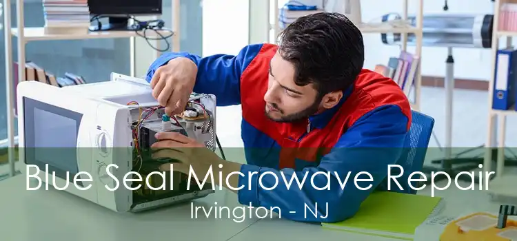 Blue Seal Microwave Repair Irvington - NJ