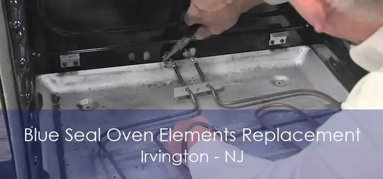 Blue Seal Oven Elements Replacement Irvington - NJ