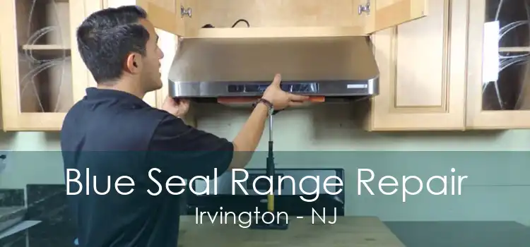 Blue Seal Range Repair Irvington - NJ