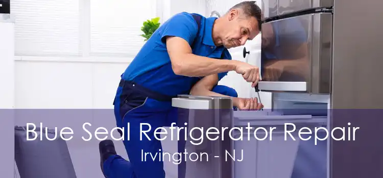 Blue Seal Refrigerator Repair Irvington - NJ