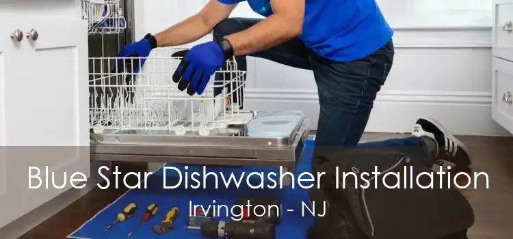 Blue Star Dishwasher Installation Irvington - NJ