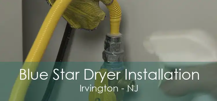 Blue Star Dryer Installation Irvington - NJ