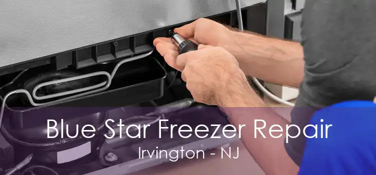 Blue Star Freezer Repair Irvington - NJ