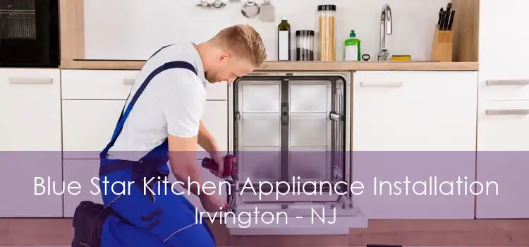 Blue Star Kitchen Appliance Installation Irvington - NJ