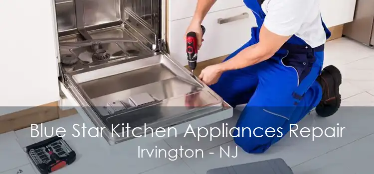 Blue Star Kitchen Appliances Repair Irvington - NJ