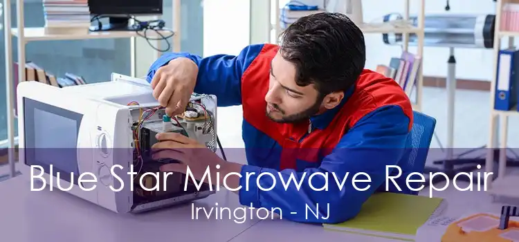 Blue Star Microwave Repair Irvington - NJ