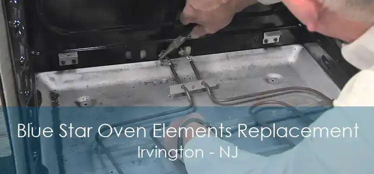 Blue Star Oven Elements Replacement Irvington - NJ