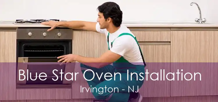 Blue Star Oven Installation Irvington - NJ