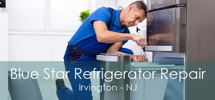 Blue Star Refrigerator Repair Irvington - NJ