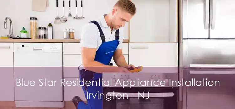 Blue Star Residential Appliance Installation Irvington - NJ