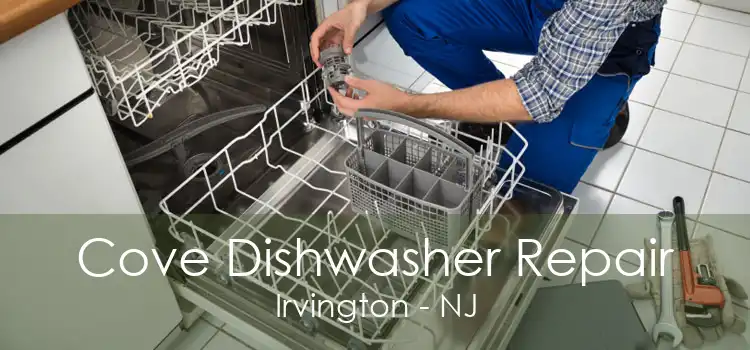 Cove Dishwasher Repair Irvington - NJ