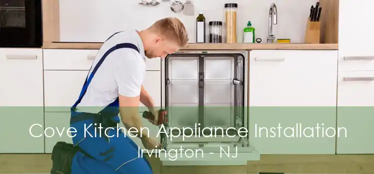 Cove Kitchen Appliance Installation Irvington - NJ