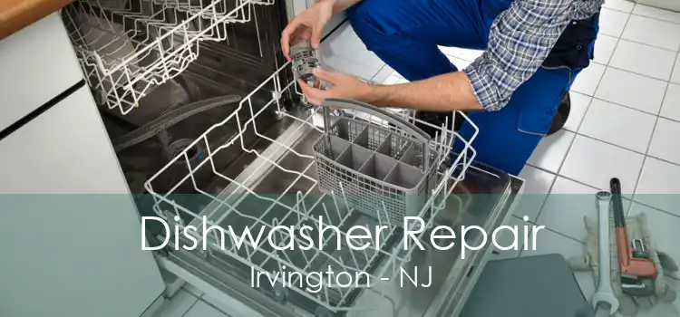 Dishwasher Repair Irvington - NJ