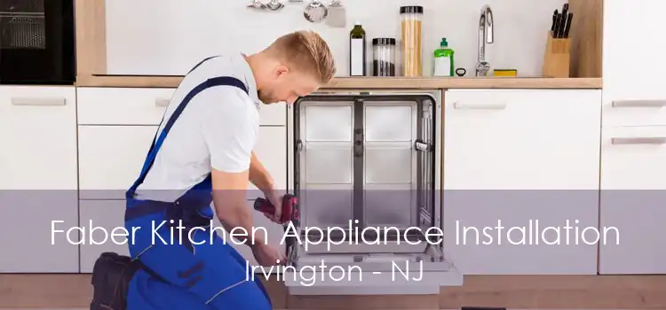 Faber Kitchen Appliance Installation Irvington - NJ