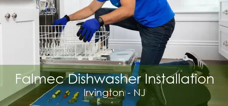 Falmec Dishwasher Installation Irvington - NJ