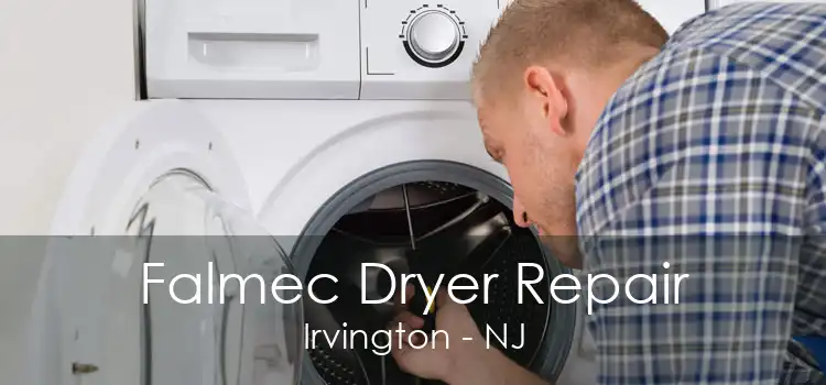 Falmec Dryer Repair Irvington - NJ