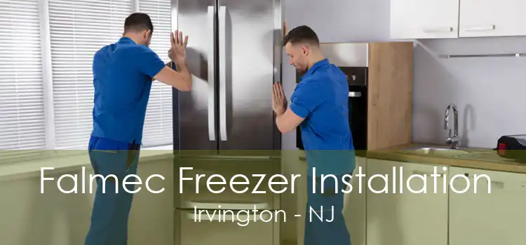 Falmec Freezer Installation Irvington - NJ