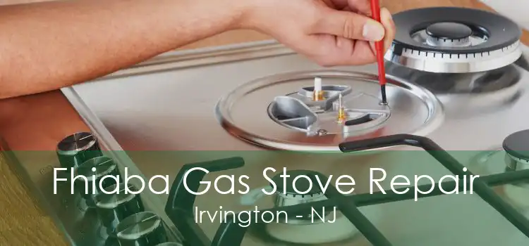 Fhiaba Gas Stove Repair Irvington - NJ