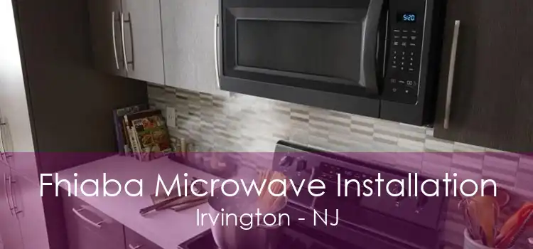 Fhiaba Microwave Installation Irvington - NJ