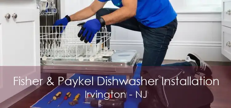 Fisher & Paykel Dishwasher Installation Irvington - NJ