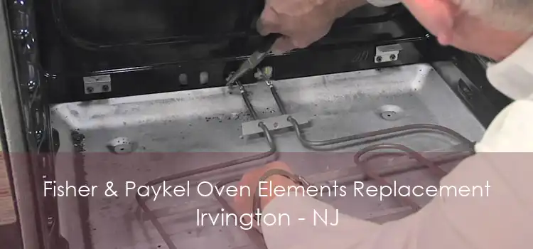 Fisher & Paykel Oven Elements Replacement Irvington - NJ