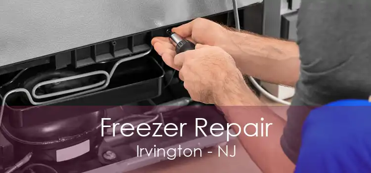 Freezer Repair Irvington - NJ