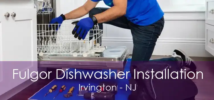 Fulgor Dishwasher Installation Irvington - NJ