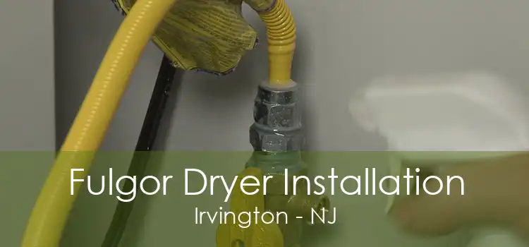 Fulgor Dryer Installation Irvington - NJ