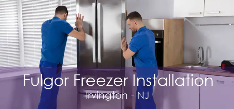 Fulgor Freezer Installation Irvington - NJ