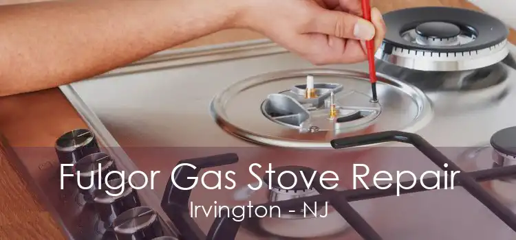 Fulgor Gas Stove Repair Irvington - NJ