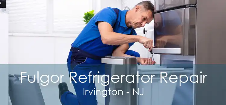 Fulgor Refrigerator Repair Irvington - NJ