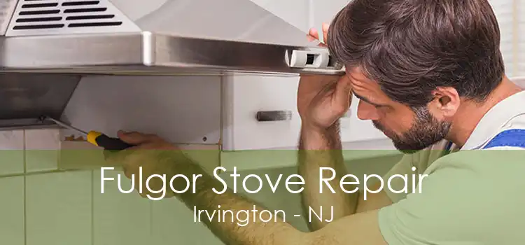 Fulgor Stove Repair Irvington - NJ