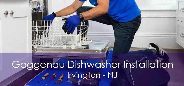 Gaggenau Dishwasher Installation Irvington - NJ