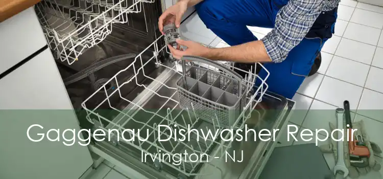 Gaggenau Dishwasher Repair Irvington - NJ