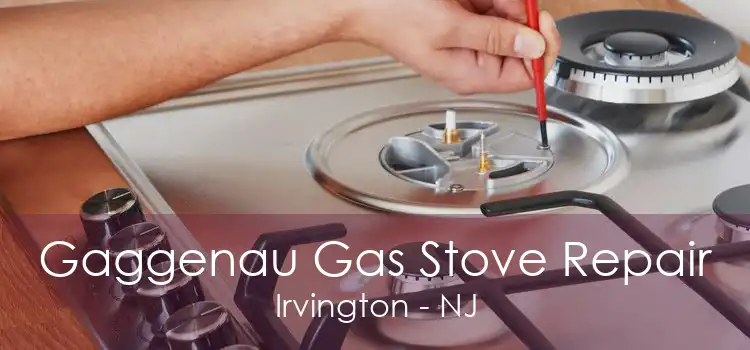 Gaggenau Gas Stove Repair Irvington - NJ