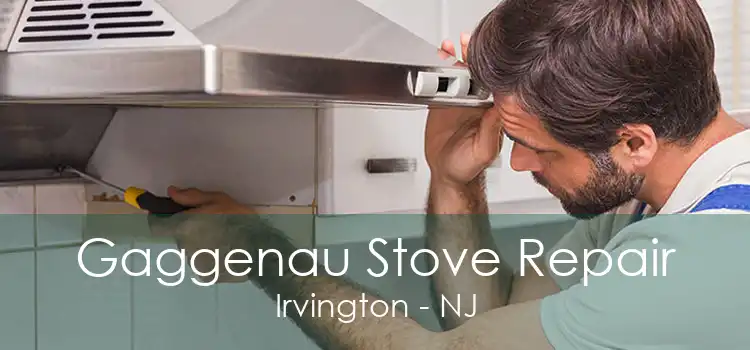 Gaggenau Stove Repair Irvington - NJ