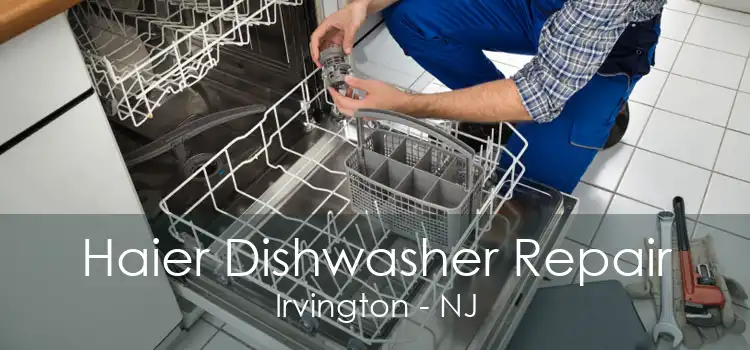 Haier Dishwasher Repair Irvington - NJ