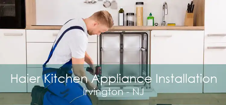 Haier Kitchen Appliance Installation Irvington - NJ