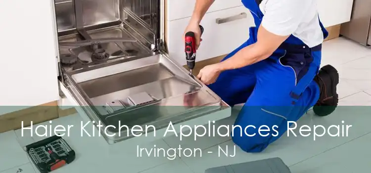 Haier Kitchen Appliances Repair Irvington - NJ