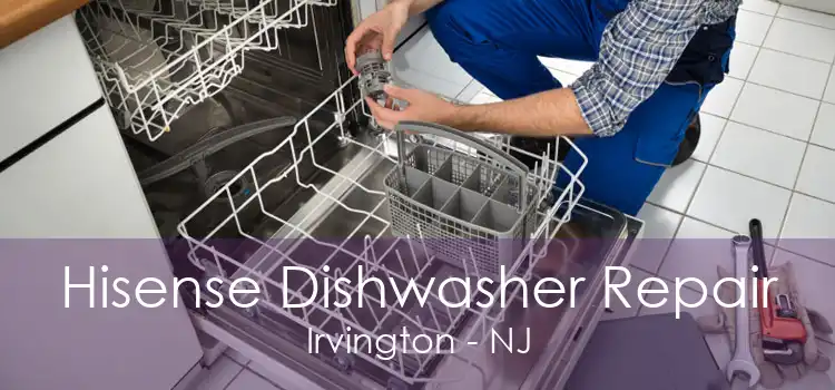 Hisense Dishwasher Repair Irvington - NJ