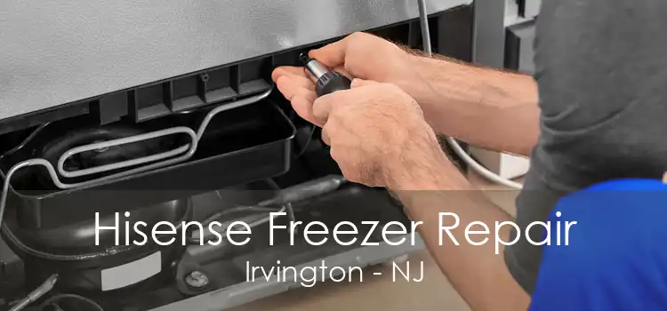 Hisense Freezer Repair Irvington - NJ