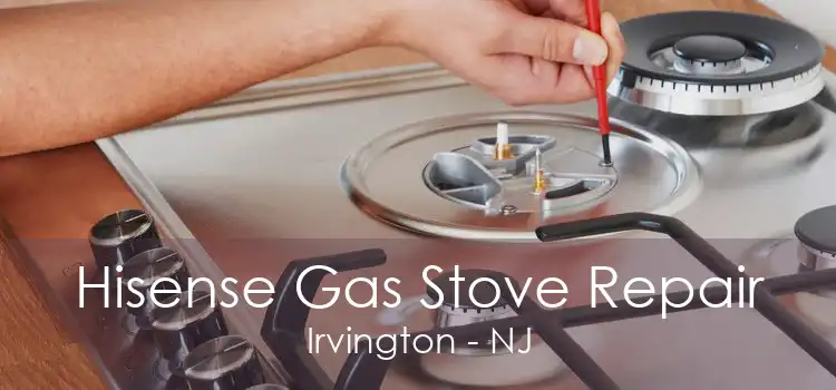 Hisense Gas Stove Repair Irvington - NJ