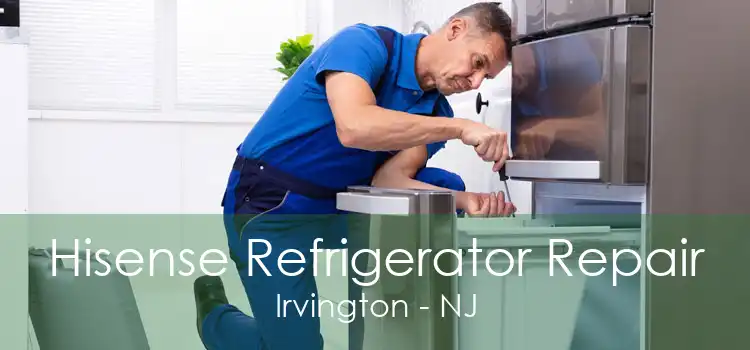 Hisense Refrigerator Repair Irvington - NJ